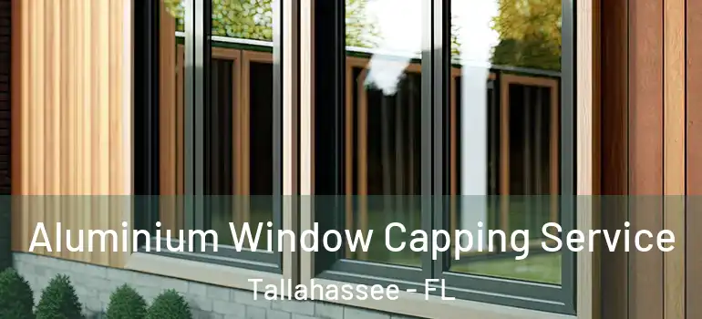 Aluminium Window Capping Service Tallahassee - FL