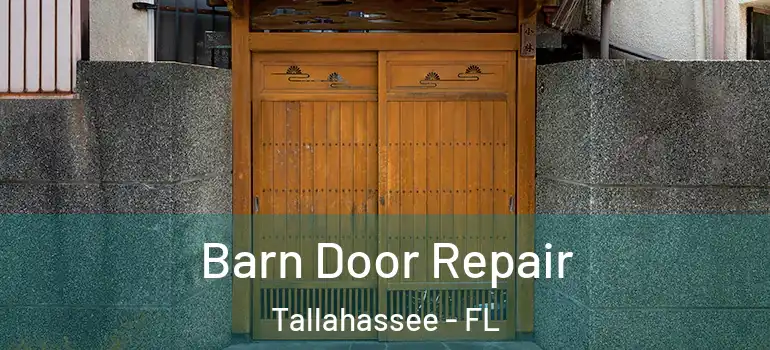 Barn Door Repair Tallahassee - FL