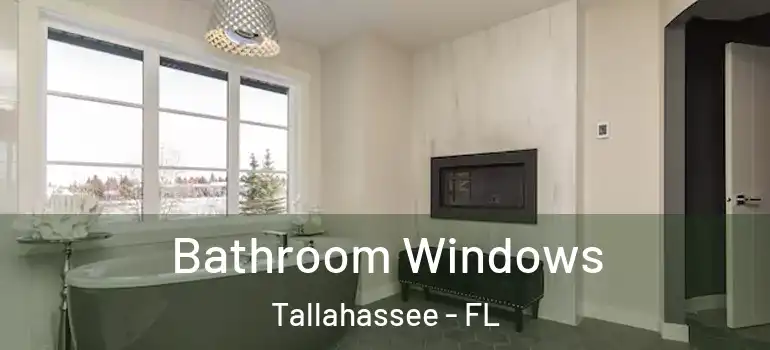  Bathroom Windows Tallahassee - FL