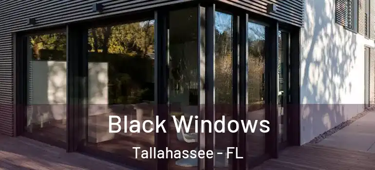 Black Windows Tallahassee - FL