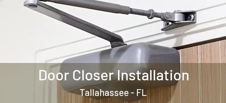 Door Closer Installation Tallahassee - FL