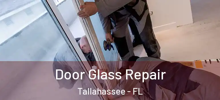 Door Glass Repair Tallahassee - FL