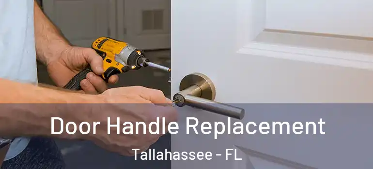 Door Handle Replacement Tallahassee - FL