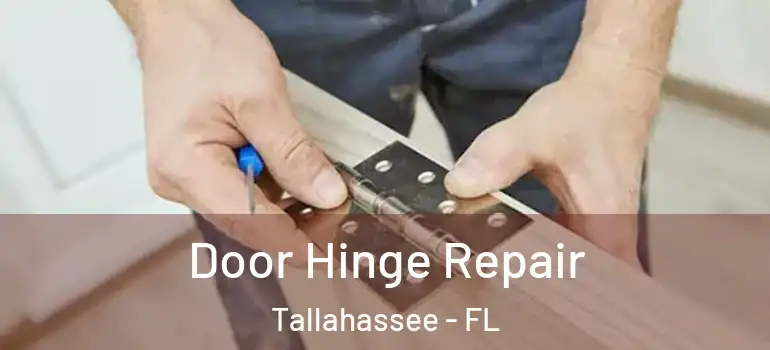 Door Hinge Repair Tallahassee - FL