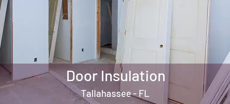 Door Insulation Tallahassee - FL