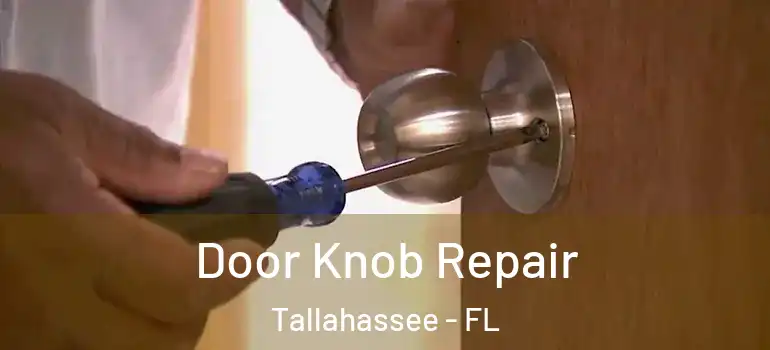Door Knob Repair Tallahassee - FL