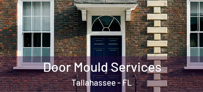 Door Mould Services Tallahassee - FL