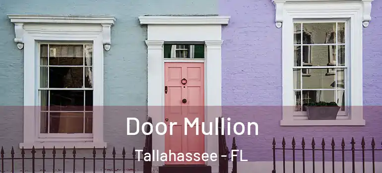 Door Mullion Tallahassee - FL
