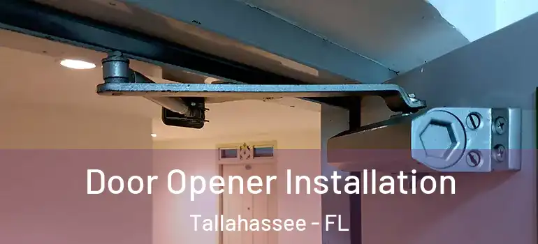 Door Opener Installation Tallahassee - FL
