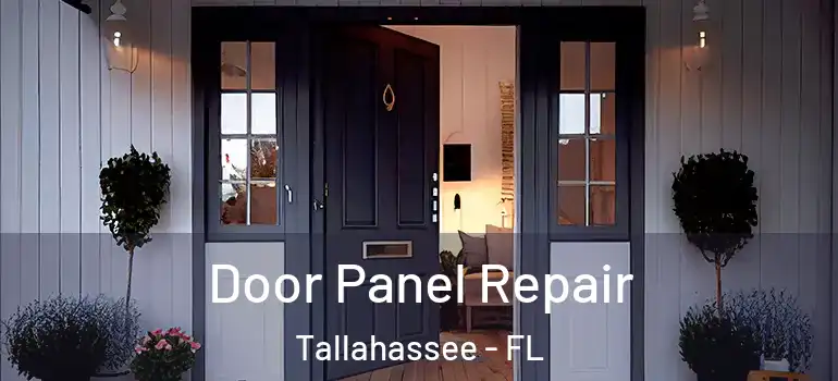 Door Panel Repair Tallahassee - FL