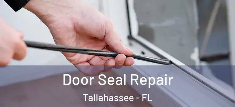 Door Seal Repair Tallahassee - FL
