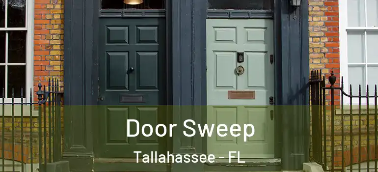 Door Sweep Tallahassee - FL