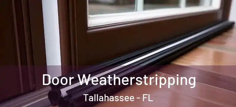 Door Weatherstripping Tallahassee - FL