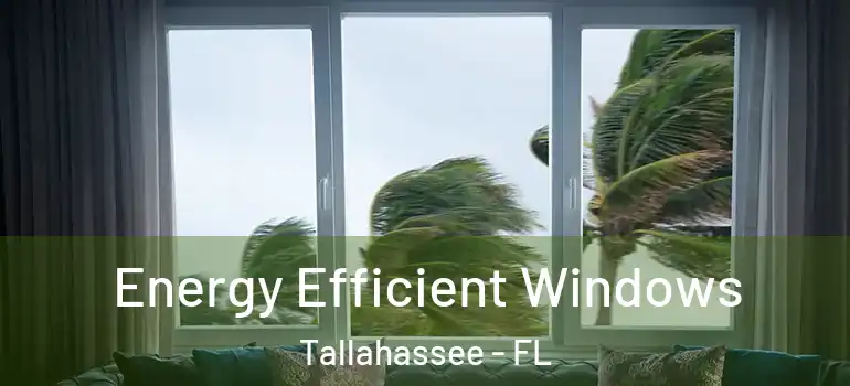 Energy Efficient Windows Tallahassee - FL