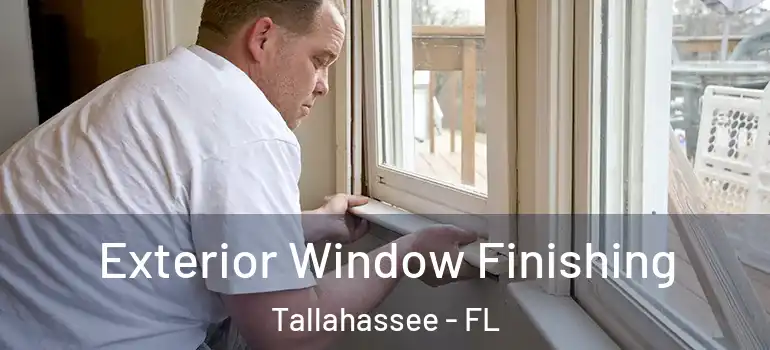  Exterior Window Finishing Tallahassee - FL