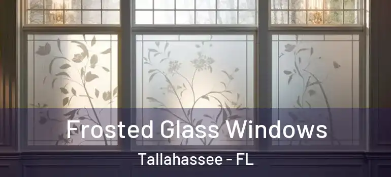 Frosted Glass Windows Tallahassee - FL