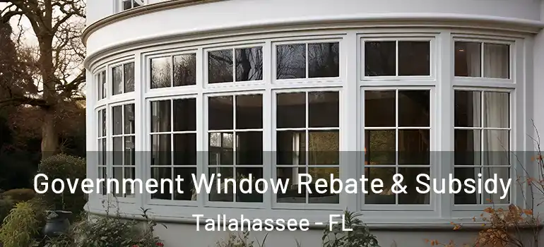 Government Window Rebate & Subsidy Tallahassee - FL