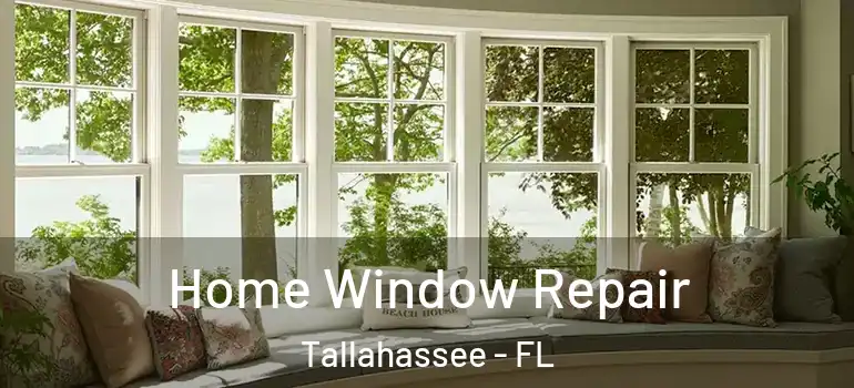  Home Window Repair Tallahassee - FL