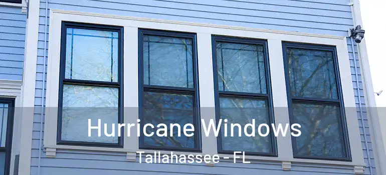 Hurricane Windows Tallahassee - FL