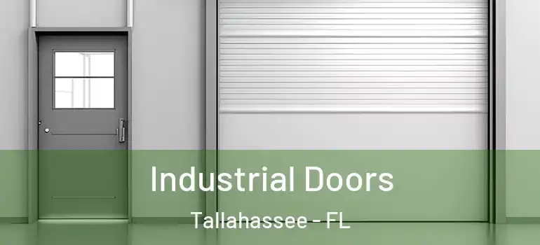Industrial Doors Tallahassee - FL