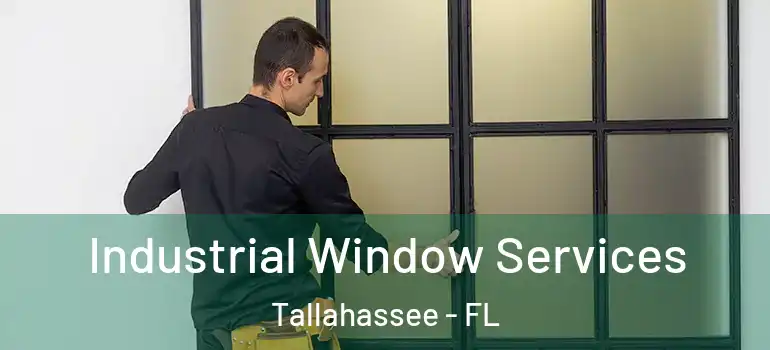  Industrial Window Services Tallahassee - FL