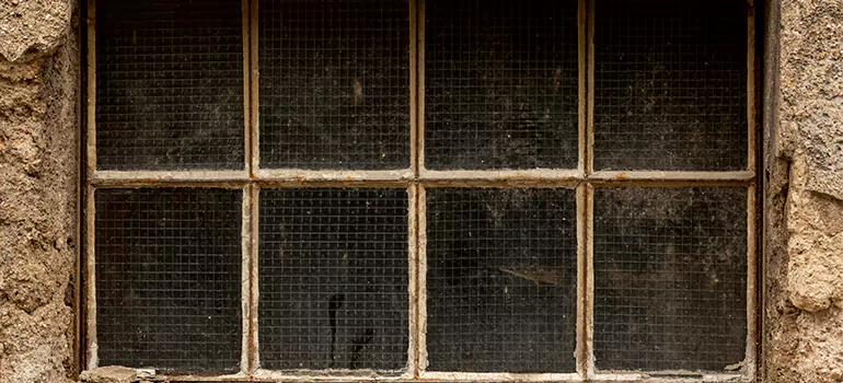 Traditional Double Front Doors in Tallahassee, FL