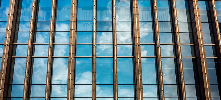 Professional Window Tinting Services in Tallahassee, FL