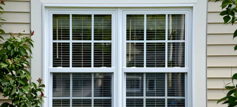 Custom Double Hung Windows in Tallahassee, FL