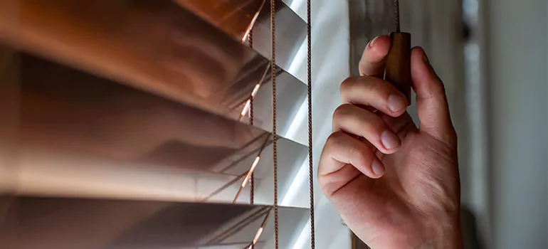 Double Roller Blinds in Tallahassee, FL