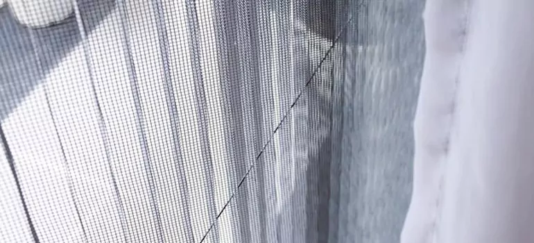 Fixing Screen Window Mesh in Tallahassee, FL