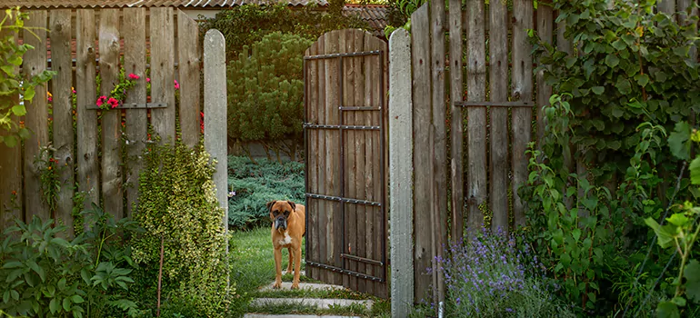 Winter Garden Garage Door Repair in Tallahassee,[location field=state]