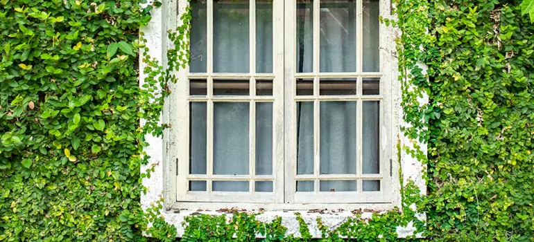Garden Window Repair Near Me in Tallahassee, FL