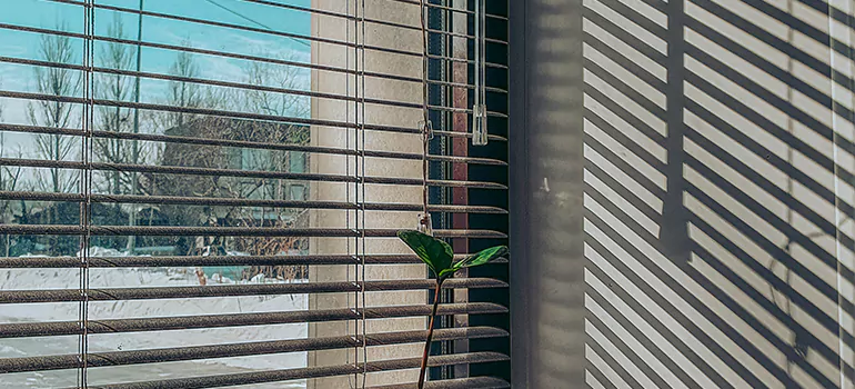 Commercial Window Blinds in Tallahassee, FL