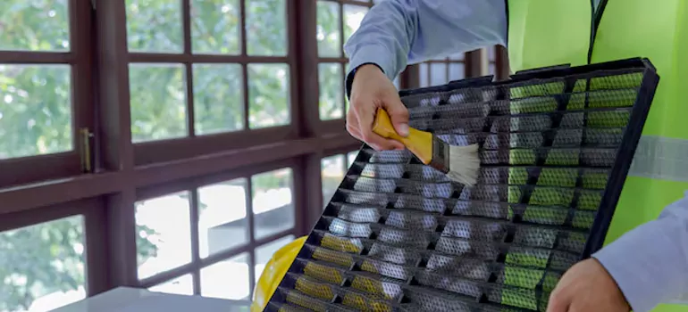 Traditional Window Grille Installation Options in Tallahassee, FL