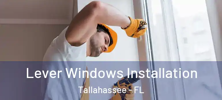 Lever Windows Installation Tallahassee - FL