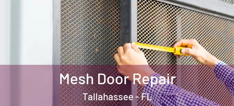 Mesh Door Repair Tallahassee - FL