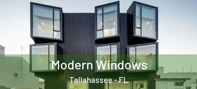 Modern Windows Tallahassee - FL