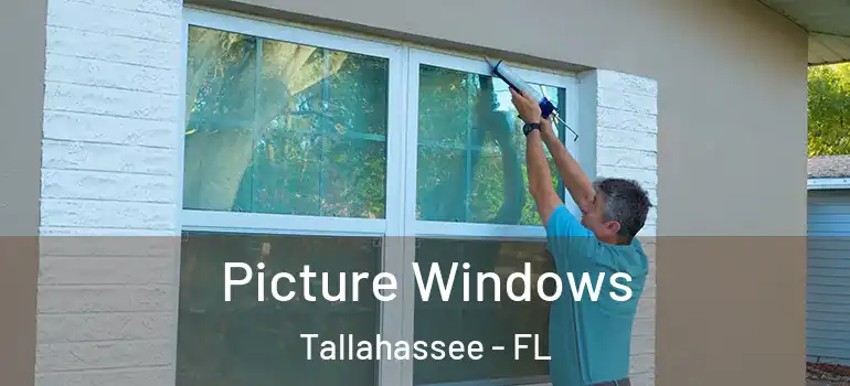 Picture Windows Tallahassee - FL