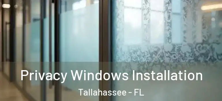 Privacy Windows Installation Tallahassee - FL