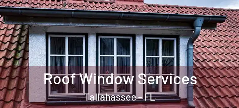 Roof Window Services Tallahassee - FL