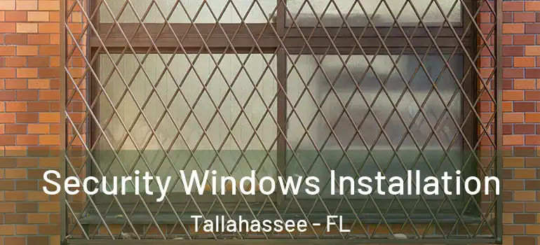Security Windows Installation Tallahassee - FL