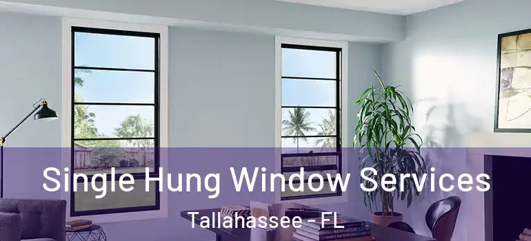 Single Hung Window Services Tallahassee - FL