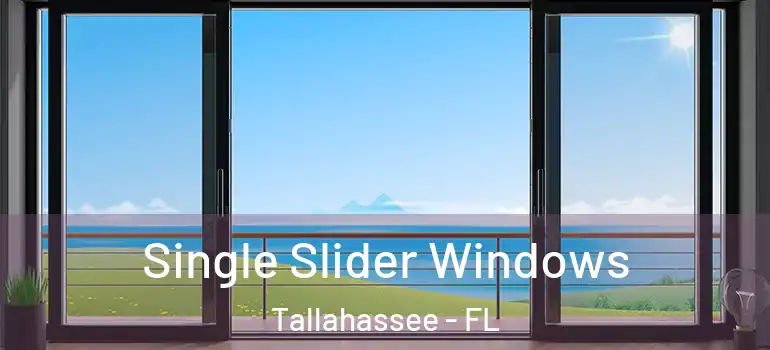 Single Slider Windows Tallahassee - FL