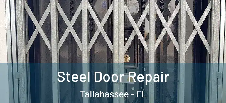 Steel Door Repair Tallahassee - FL