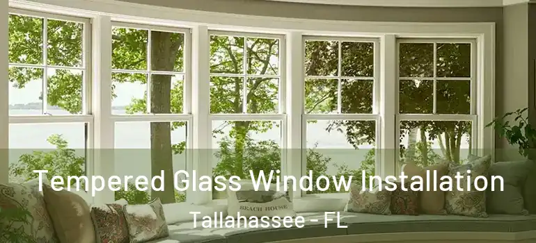 Tempered Glass Window Installation Tallahassee - FL