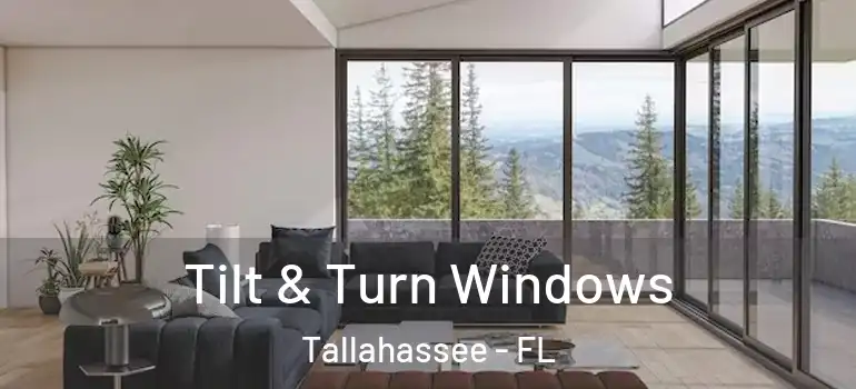Tilt & Turn Windows Tallahassee - FL