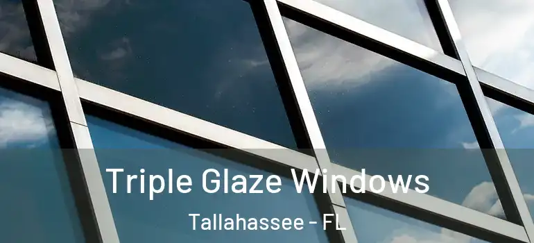 Triple Glaze Windows Tallahassee - FL