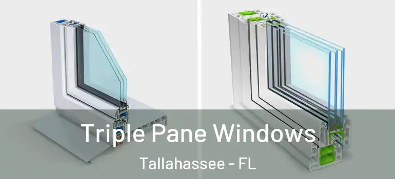 Triple Pane Windows Tallahassee - FL