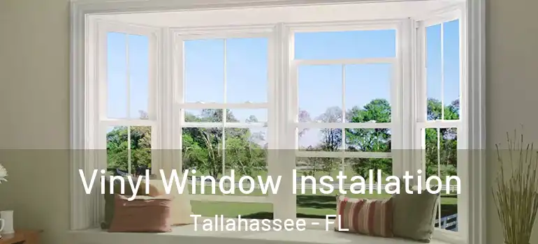 Vinyl Window Installation Tallahassee - FL