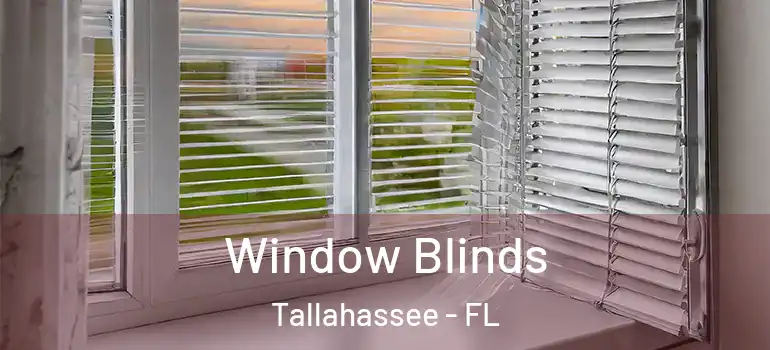 Window Blinds Tallahassee - FL